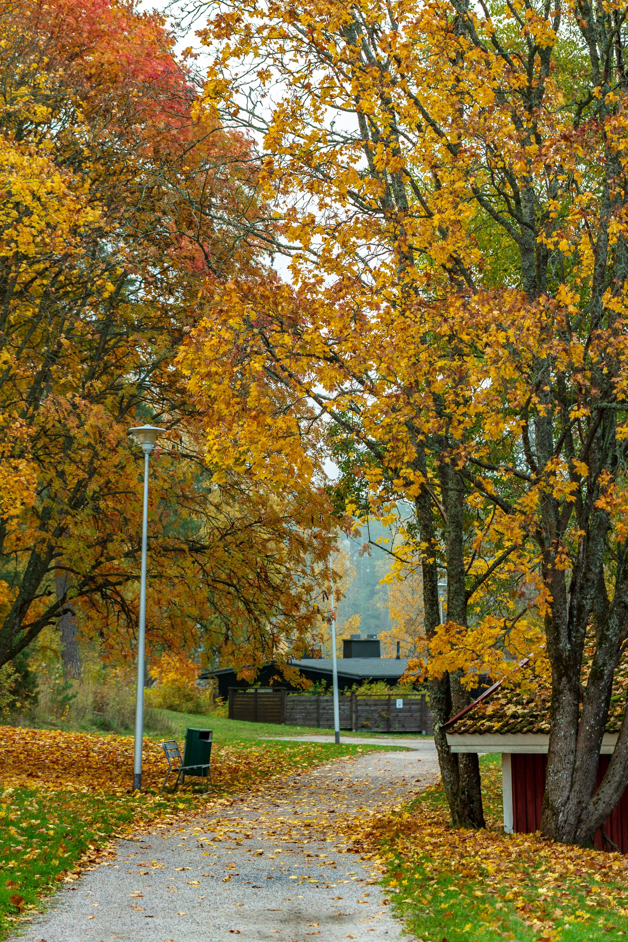 Foto - Hotel Nuuksio - Conferences and events