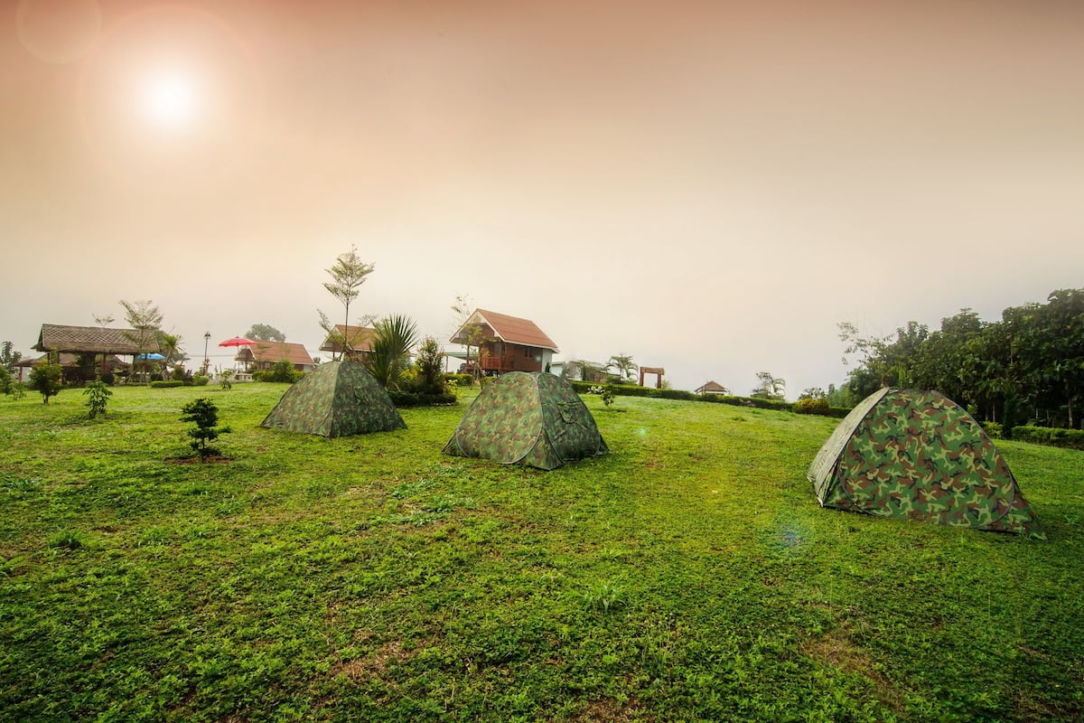 A grassy field with several camouflaged tents and a few buildings in the background.
