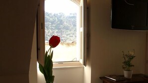 Een kamer met een raam, een bloempot, een televisie en een tafeltje.
