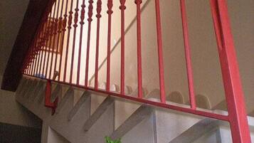Un escalier avec des balustrades rouges et une plante aux feuilles vertes et aux fleurs violettes, située au pied de l’escalier.