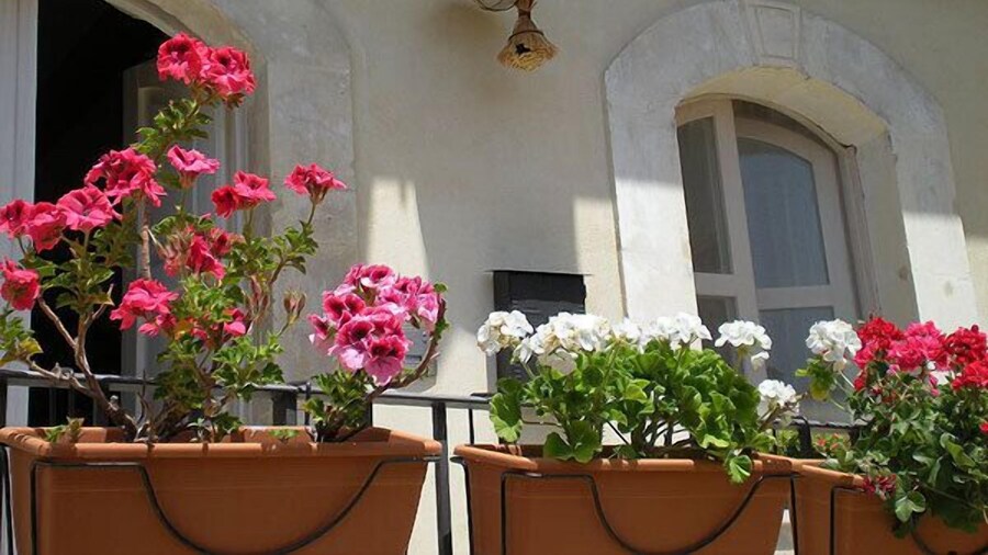 Chicchi di Melograno