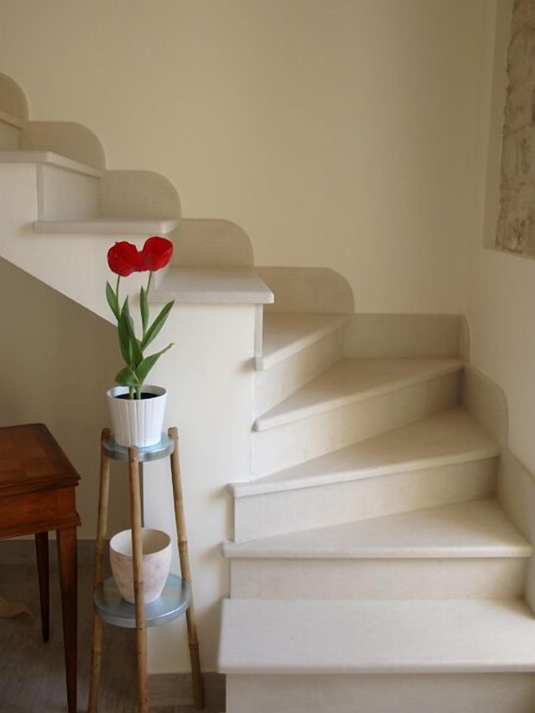 Foto - Chicchi Di Melograno