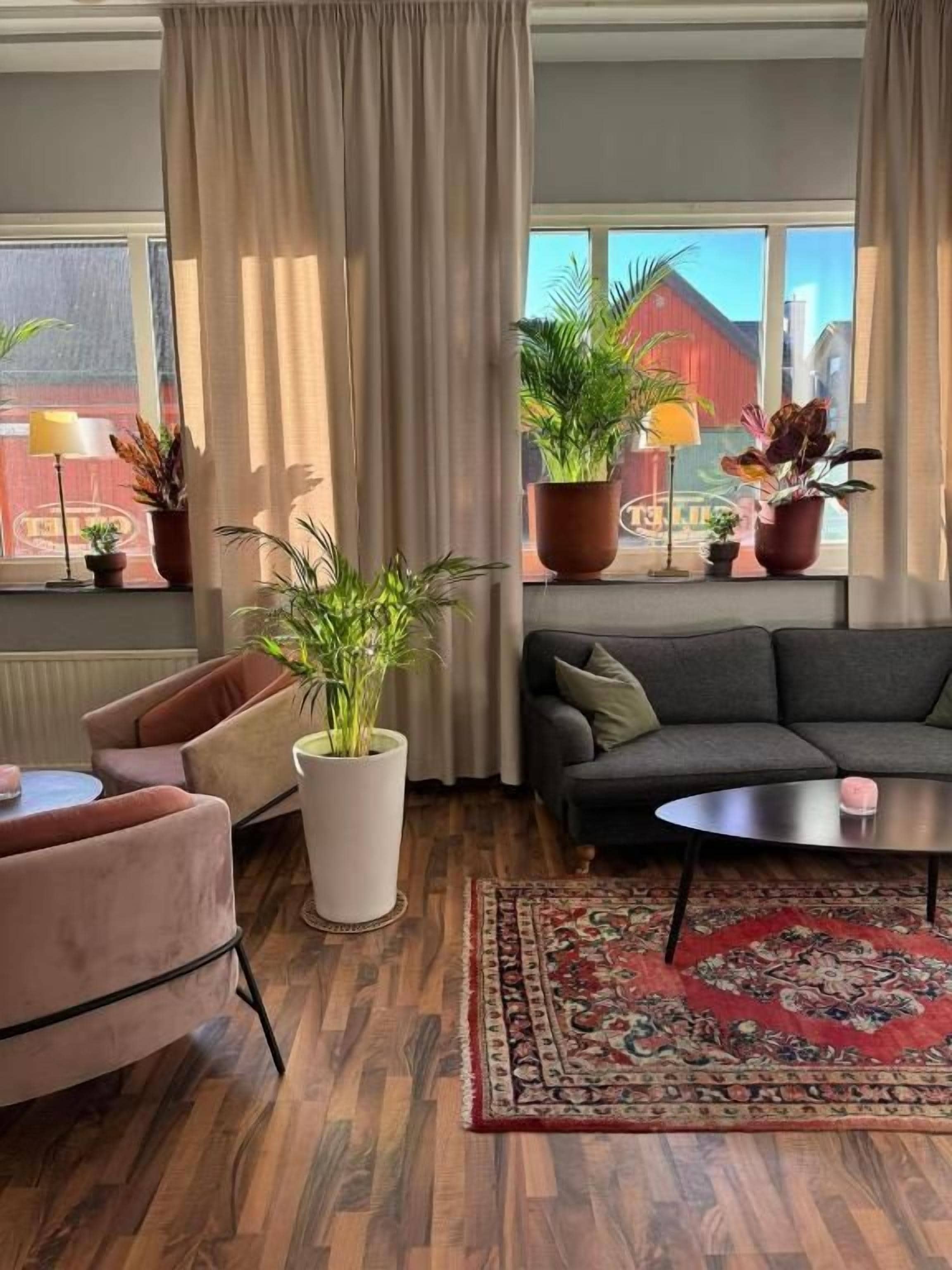 A living room with a sofa, armchair, coffee table, and potted plants.