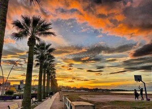 A sunset view with palm trees and a basketball court.