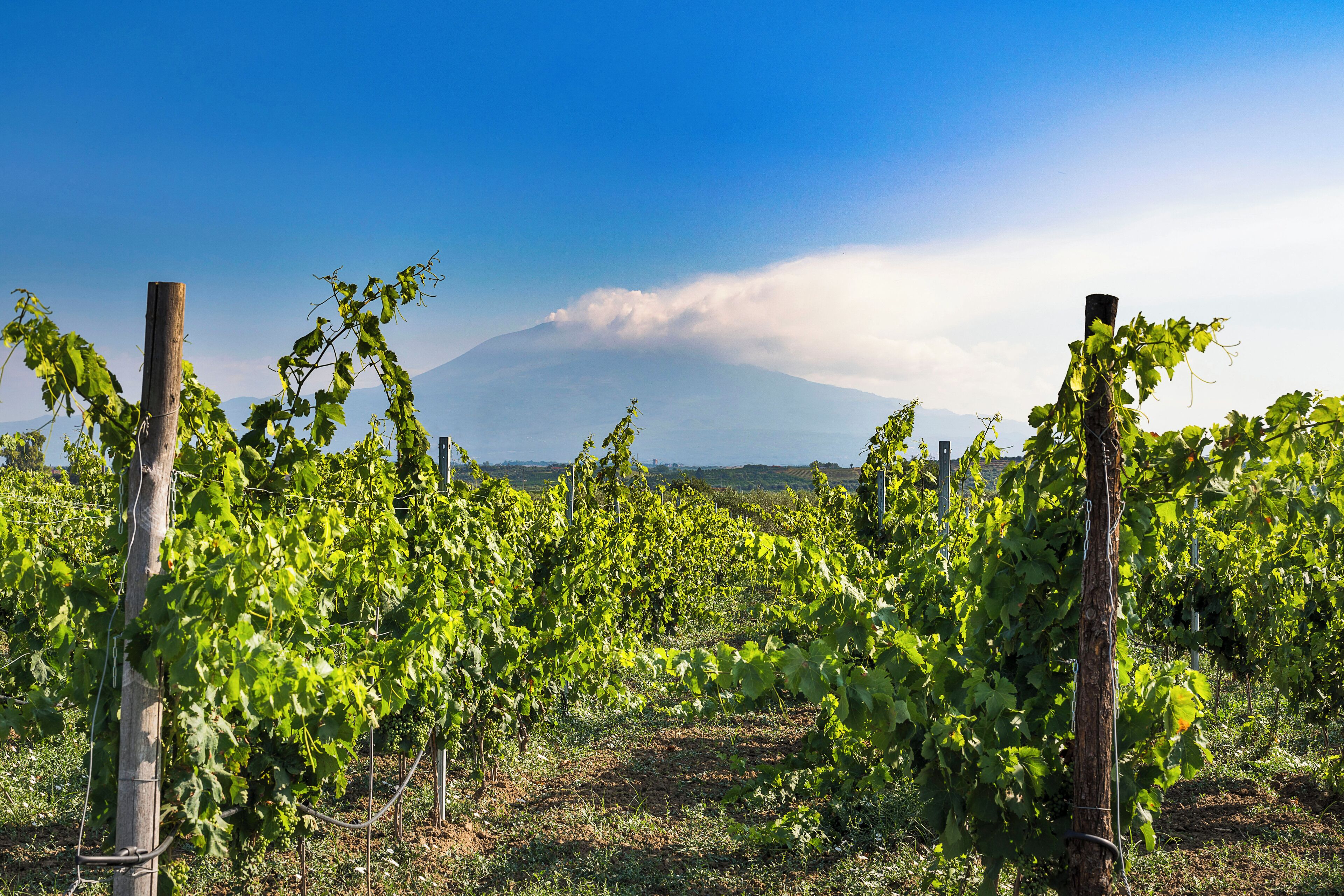 Photo - Nèroli Bio Relais