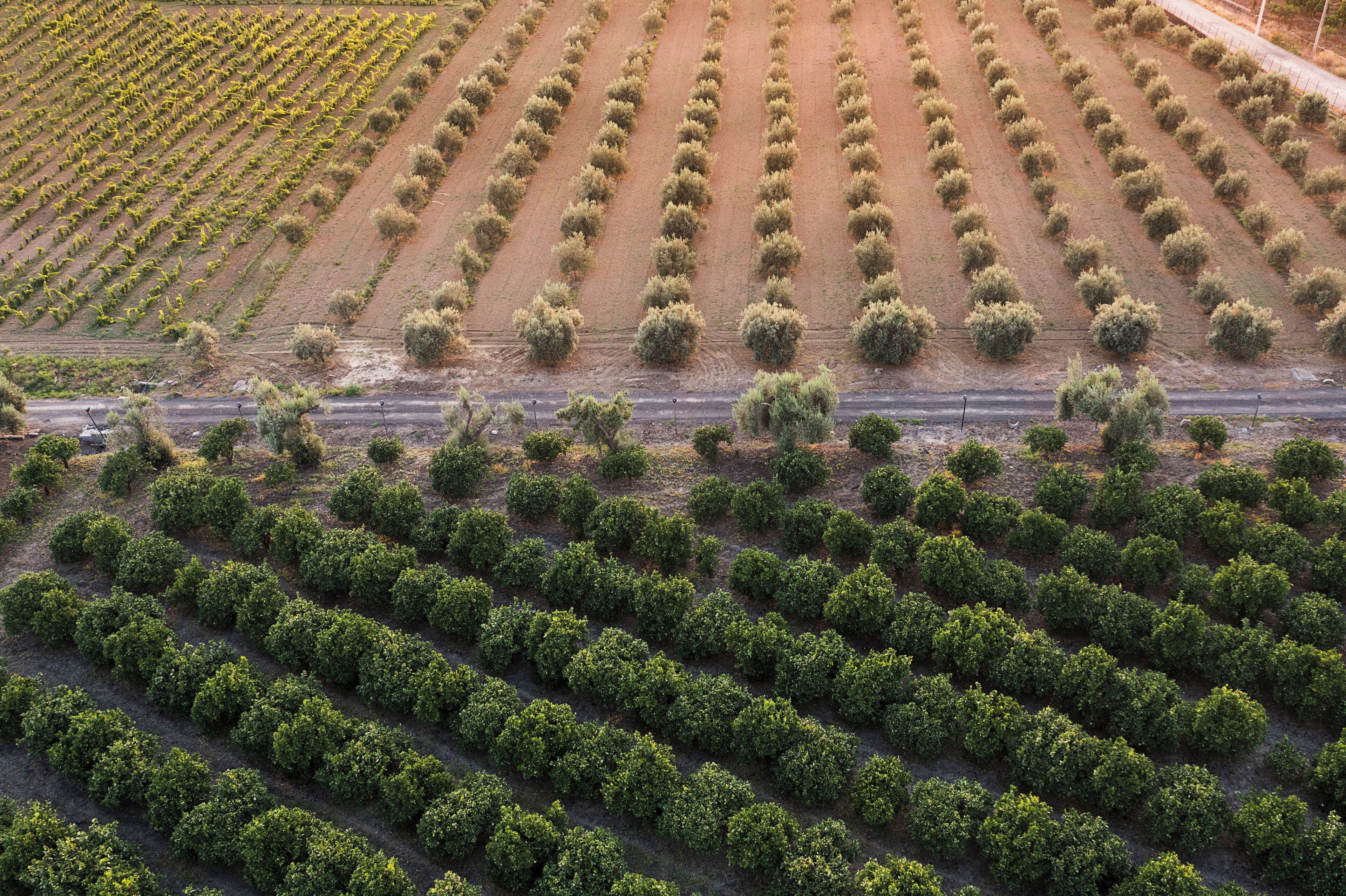 Photo - Nèroli Bio Relais