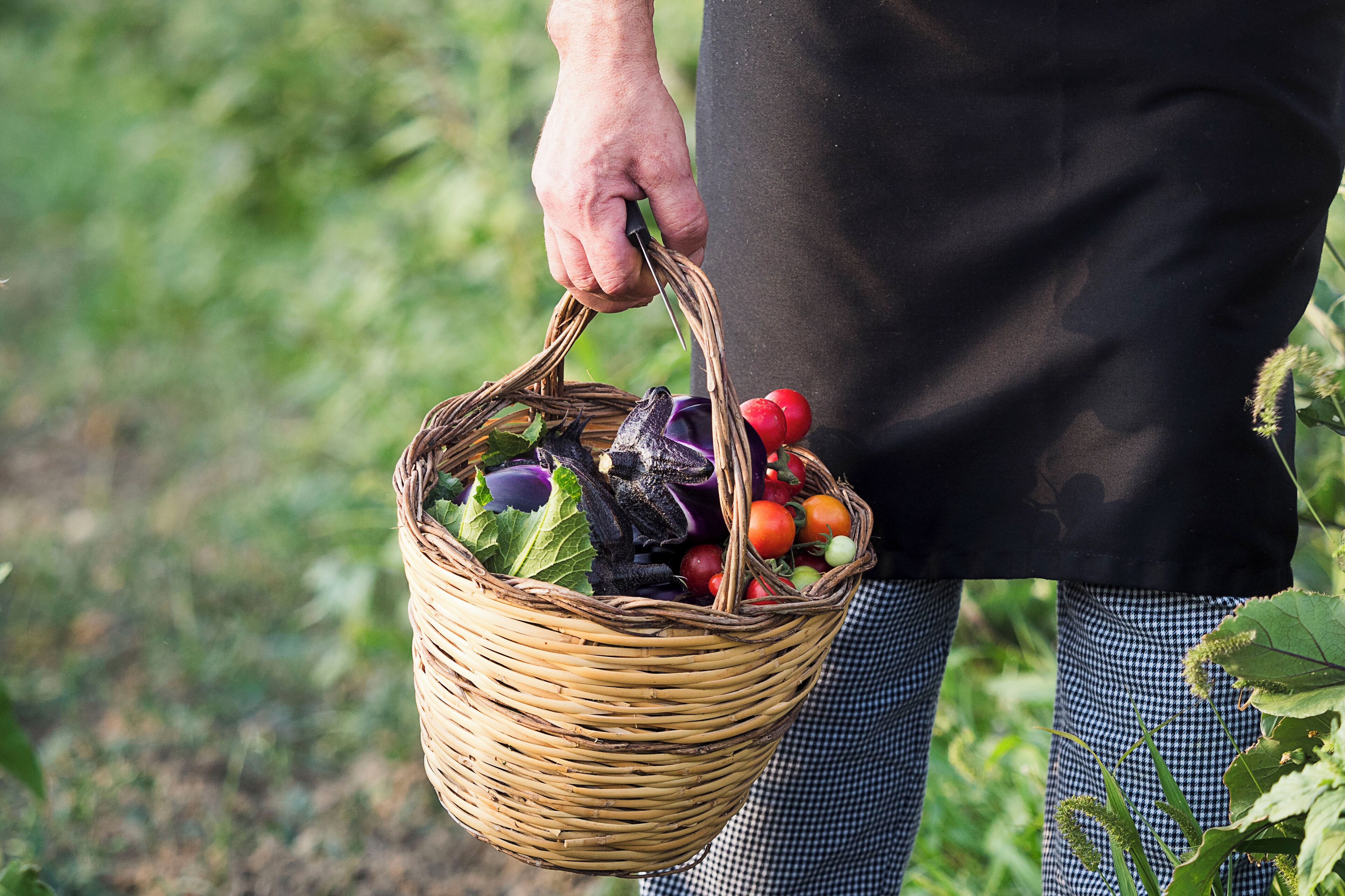 Photo - Nèroli Bio Relais