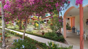 A hotel reception area with a garden pathway leading to the entrance. - Hotel Brisas del Pacifico (Sámara)