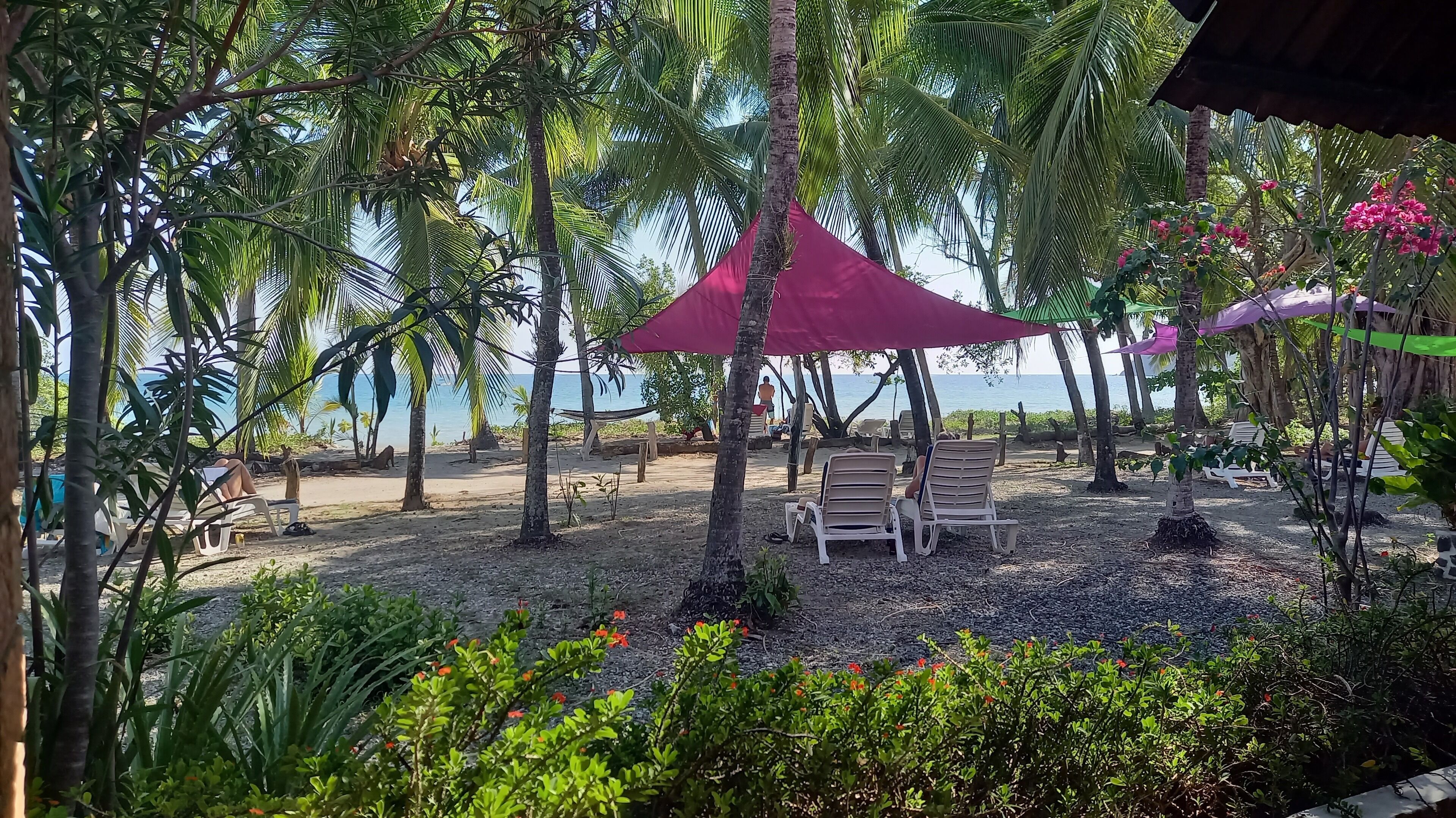 Zona de playa con palmeras, una sombrilla roja y sillas de playa.