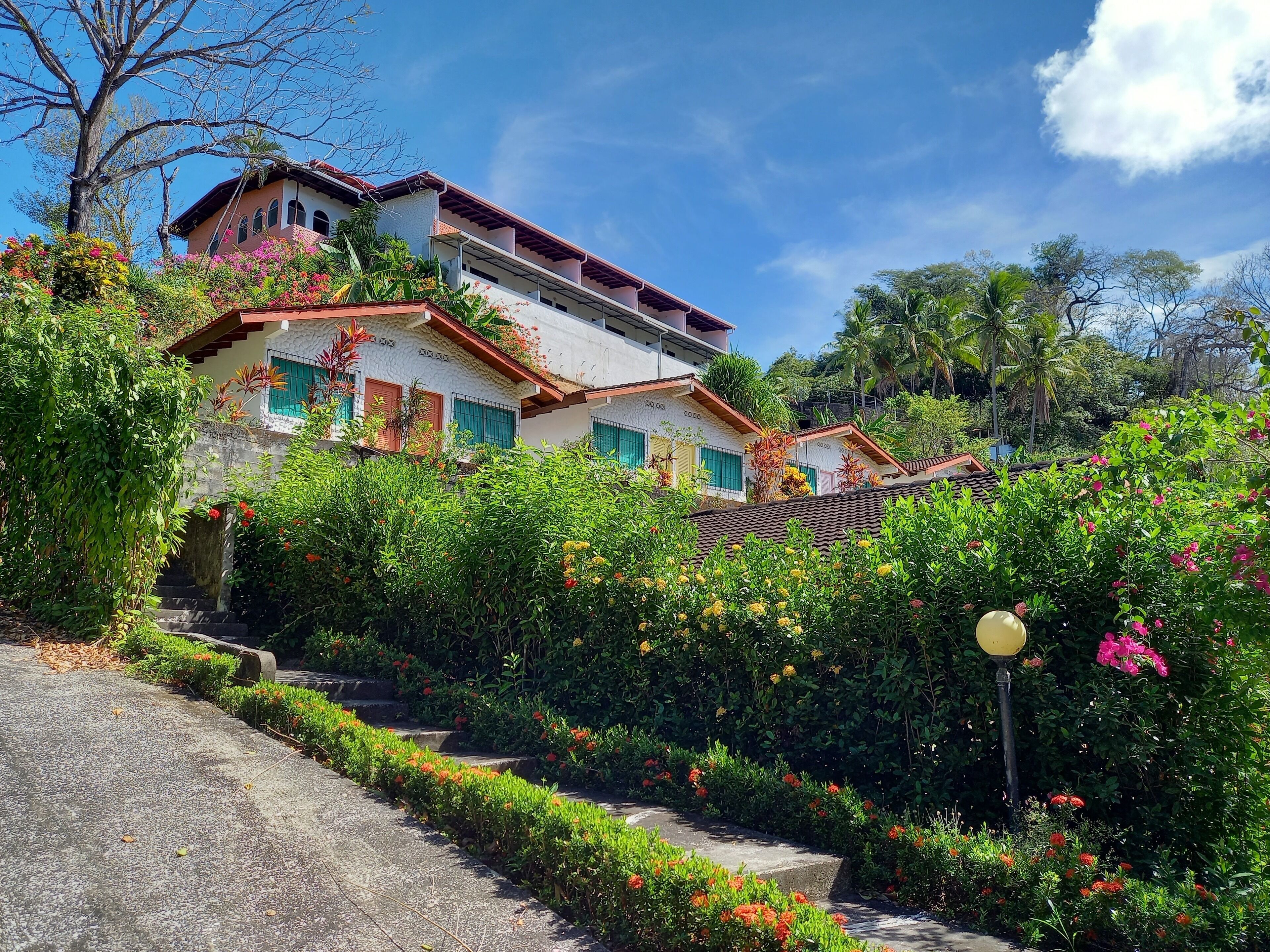 A multi-story building with a garden in front, featuring a staircase leading up to the entrance.