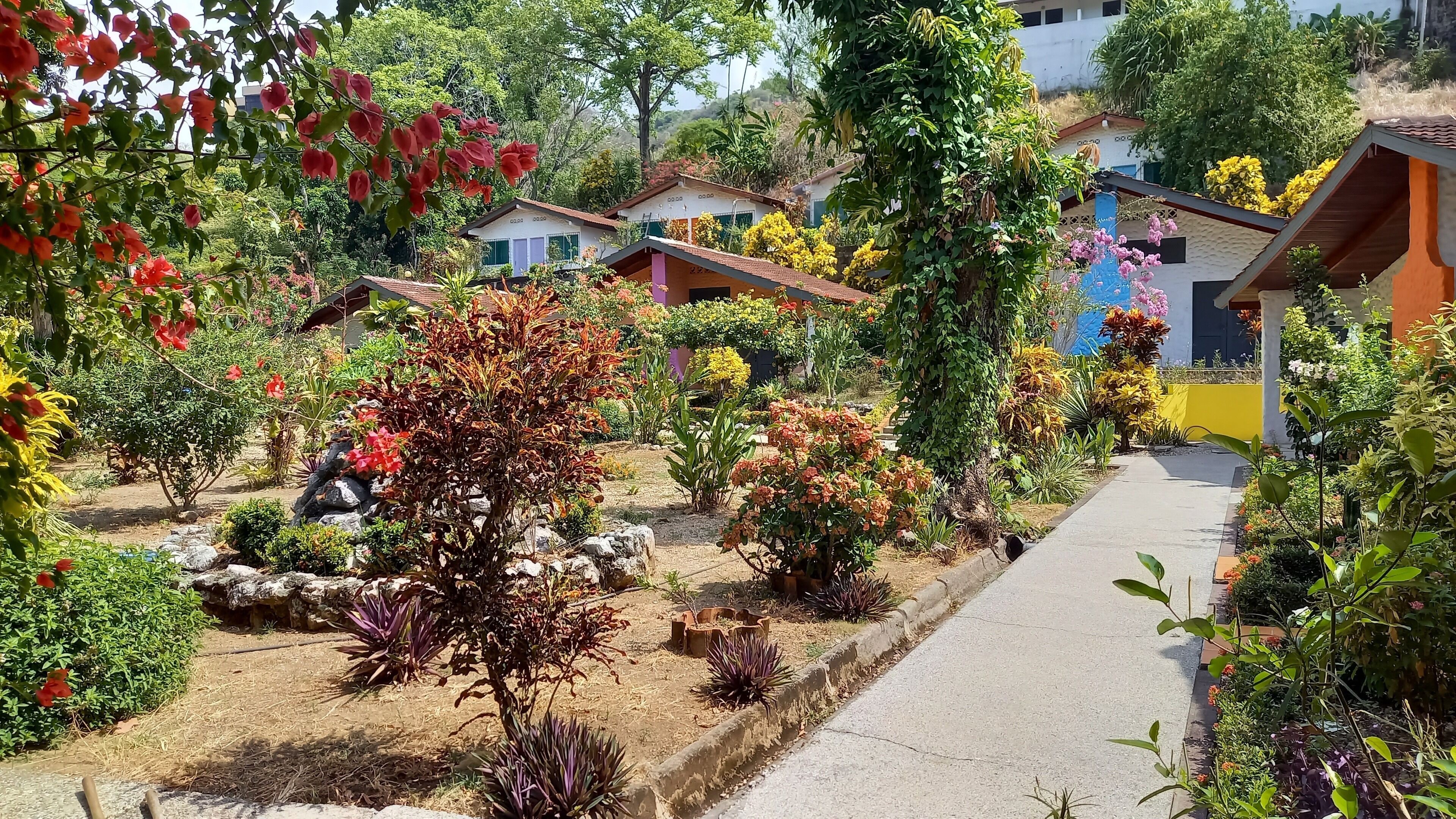 garden view