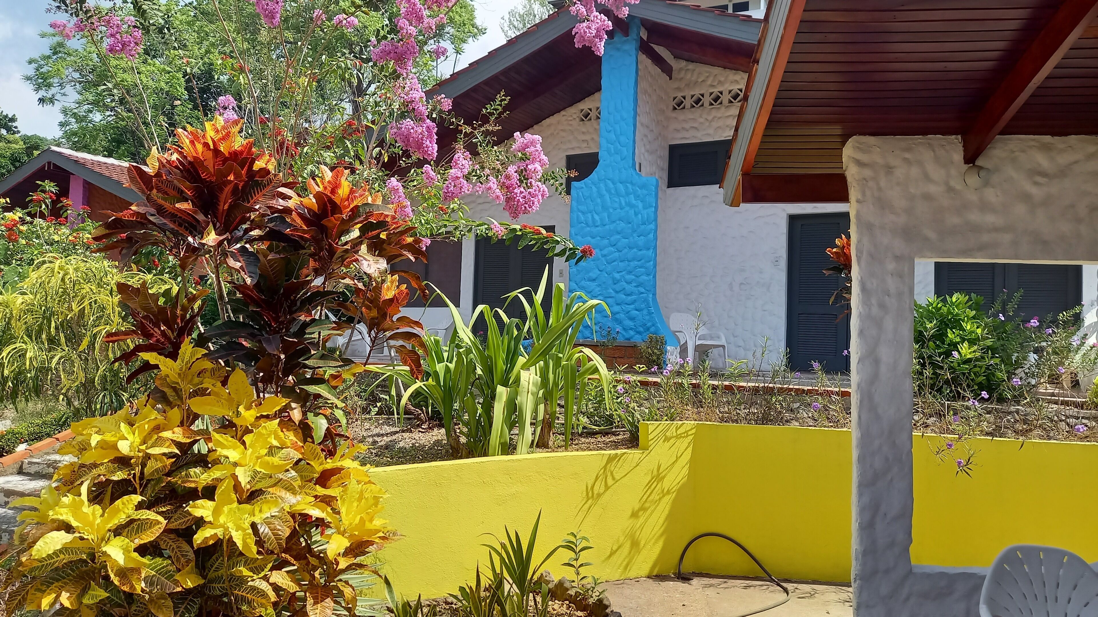 Un patio con un muro amarillo, varias plantas y un edificio de fachada azul con vigas de madera.