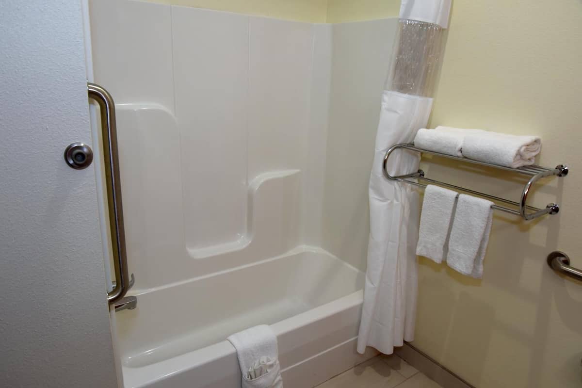 combined shower/bathtub, free toiletries, hair dryer, towels