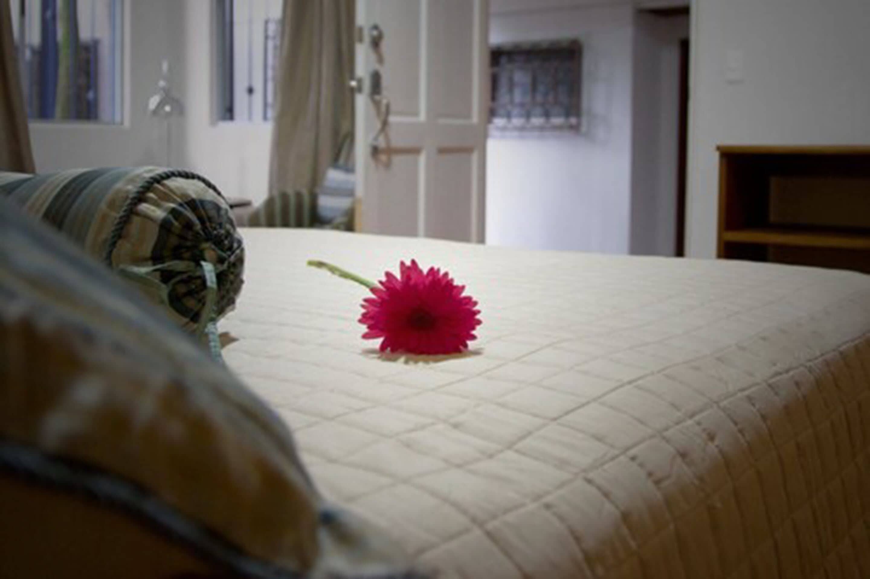 standard double room, 1 double bed | in-room safe, individually decorated, individually furnished, desk