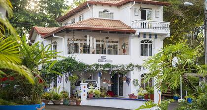 Hotel Ave del Paraíso