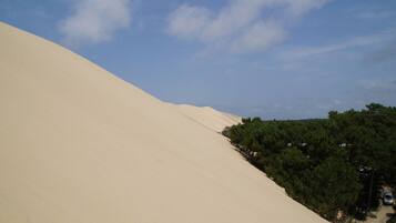 Une grande dune de sable, avec un ciel dégagé et une zone boisée à sa base.