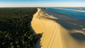 An aerial view of a beach with a forested area on one side and a sandy beach on the other, with visible tire tracks on the sand.
