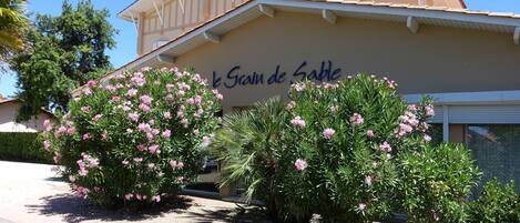 A building with the sign "Le Grain de Sable" and surrounded by pink flowering bushes and lavender plants.