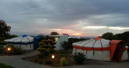 Genghis Khan in the Golan - Hostel