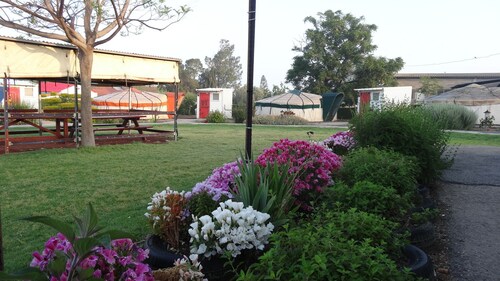 Genghis Khan in the Golan - Hostel