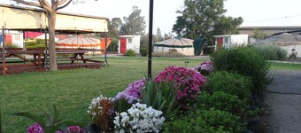 ゴランのジンギスカン - ホステル