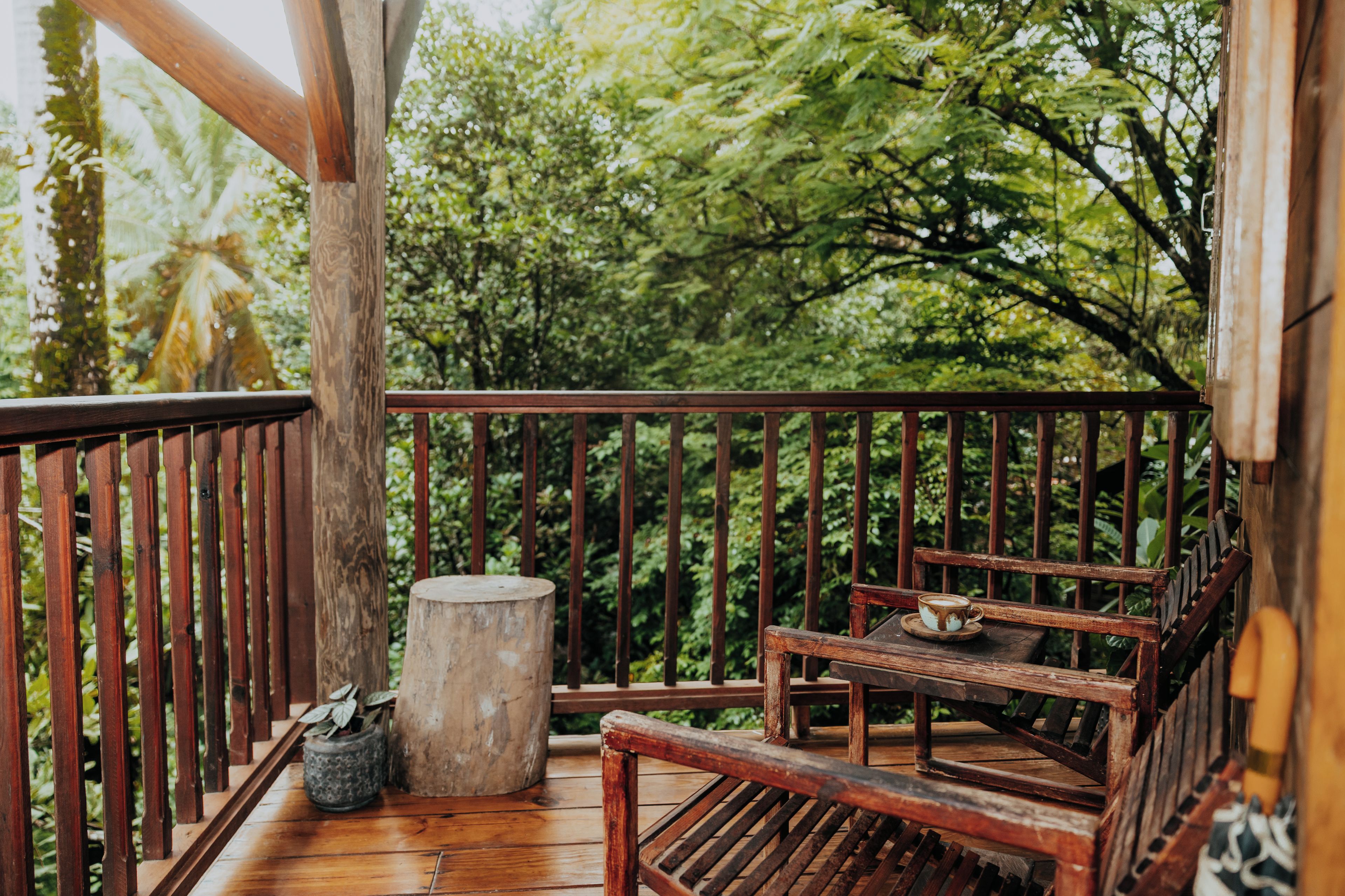 Eine Holzterrasse mit einer Bank und einem Tisch, umgeben von üppiger Bepflanzung.