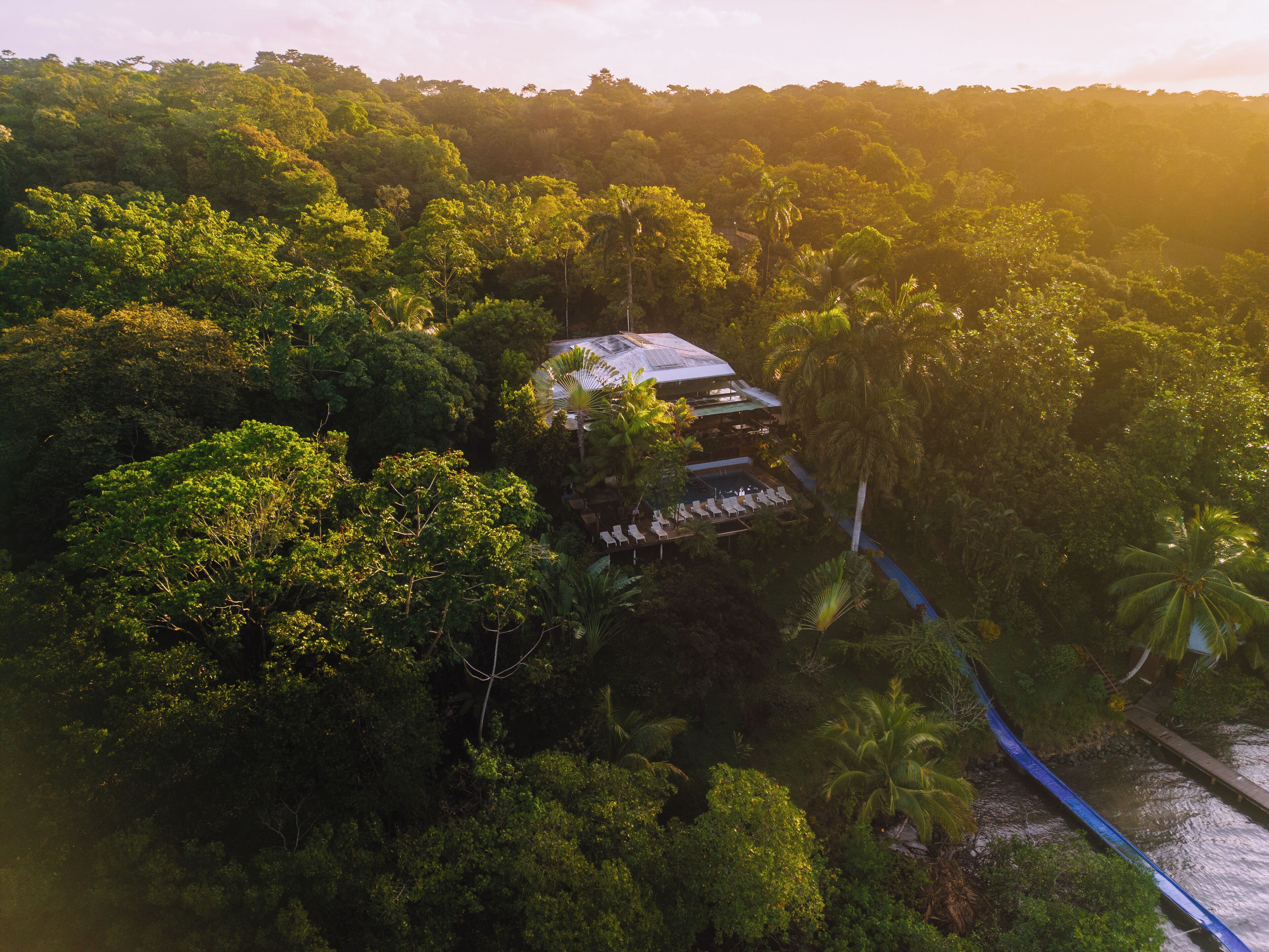Un resort tropical con zona de piscina rodeada de abundante follaje.