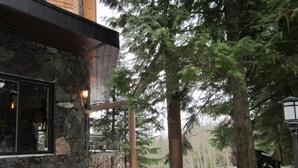 A stone building with a large window, surrounded by snow-covered ground and tall evergreen trees.
