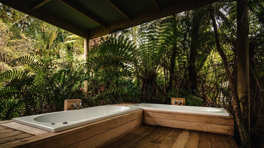Franz Josef Treetops