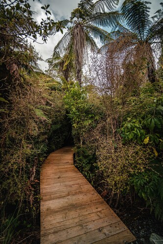 Franz Josef Treetops