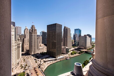 LondonHouse Chicago, Curio Collection by Hilton - Image 1