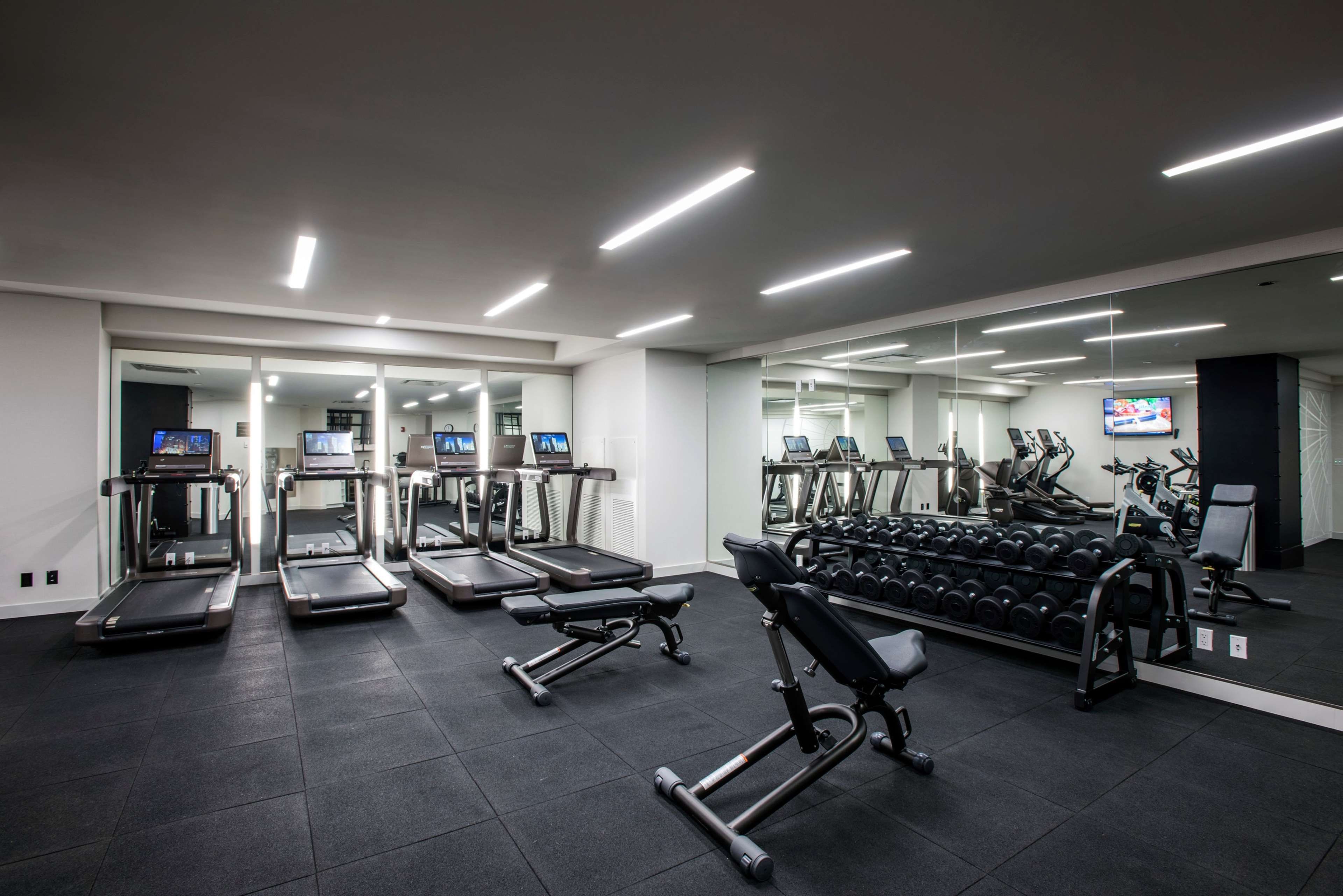 A modern gym with treadmills, weight benches, and a mirror wall.