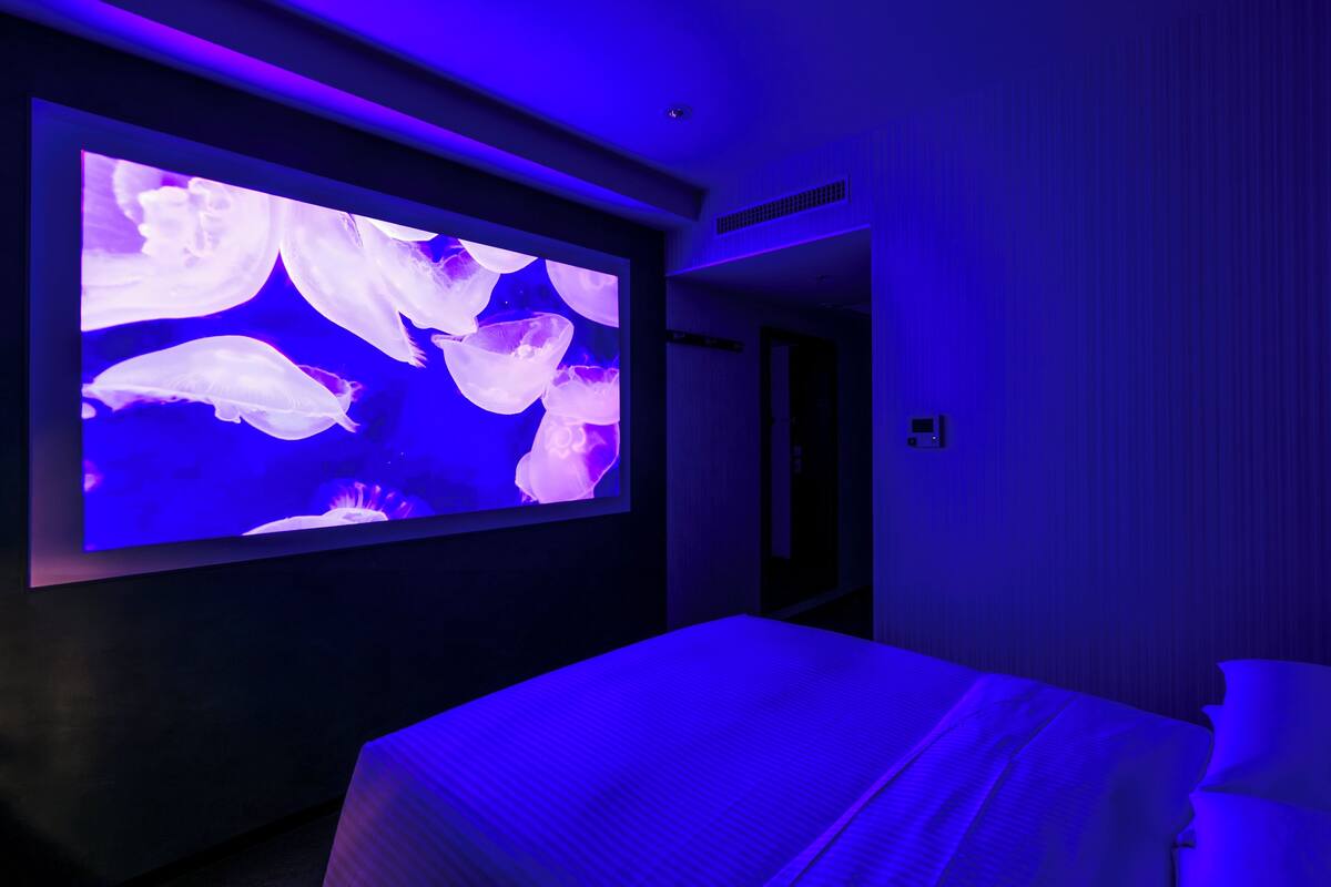 Habitación, no fumadores (Box Theater) | Ropa de cama de alta calidad, edredones de plumas, caja fuerte