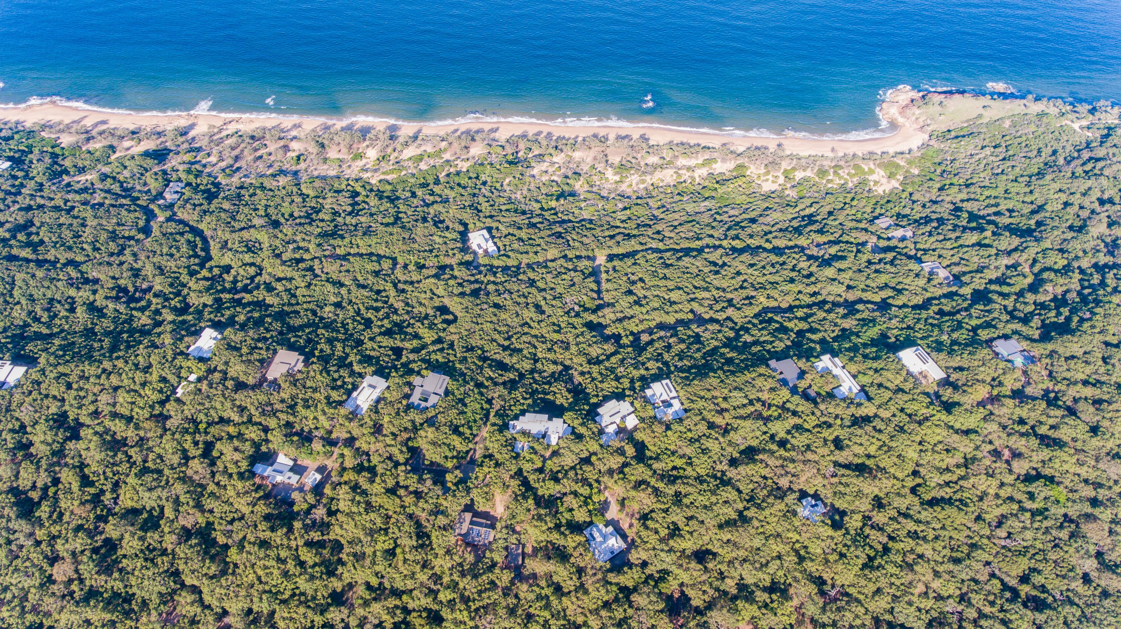 Vista aérea de una zona costera con denso bosque y edificios dispersos, probablemente viviendas o pequeños establecimientos comerciales.