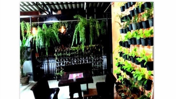 Un restaurant au décor rustique, avec une table et des chaises en bois, des plantes suspendues et un mur recouvert de plantes en pot.