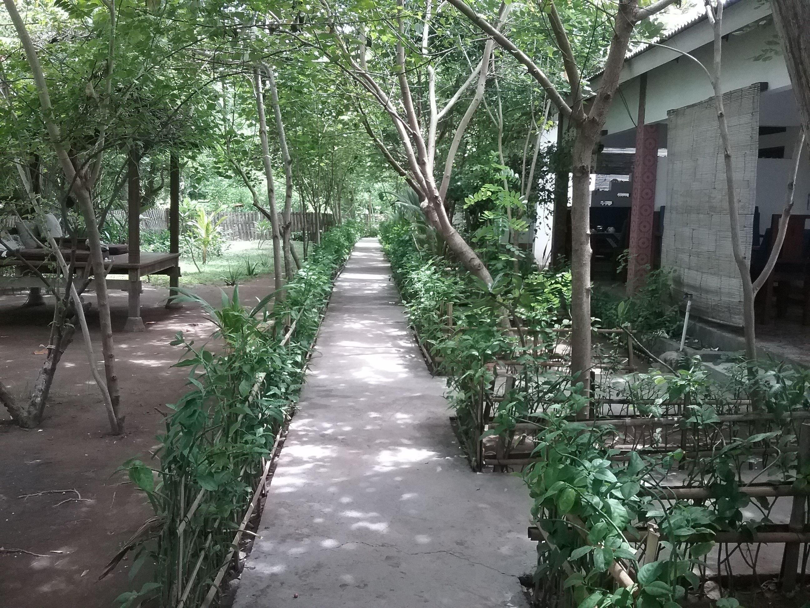 Pemandangan dari properti