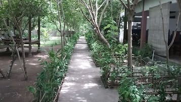 Pemandangan dari properti