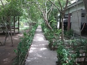 Vista desde la propiedad