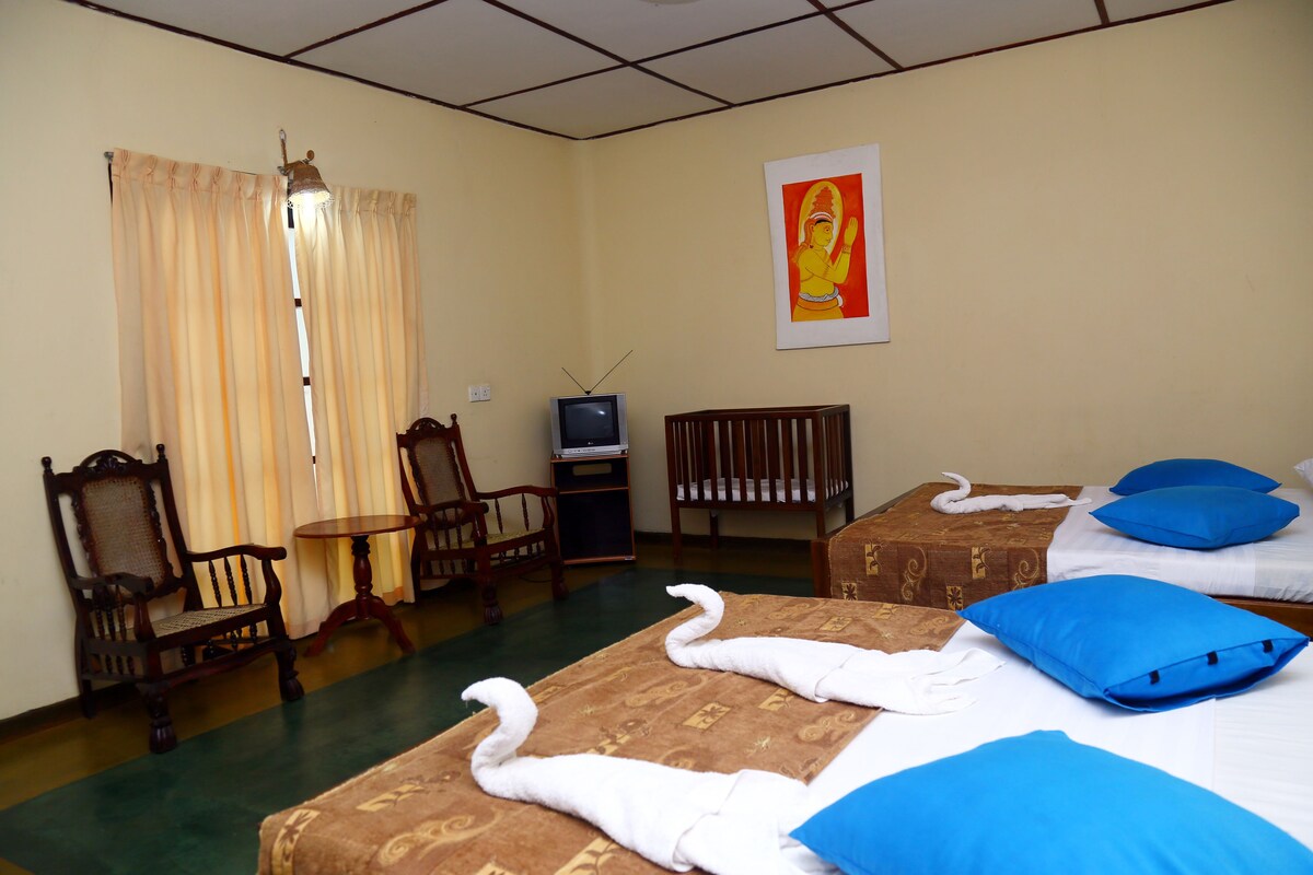 Classic Chalet, Mountain View | Premium bedding, in-room safe, rollaway beds, free WiFi