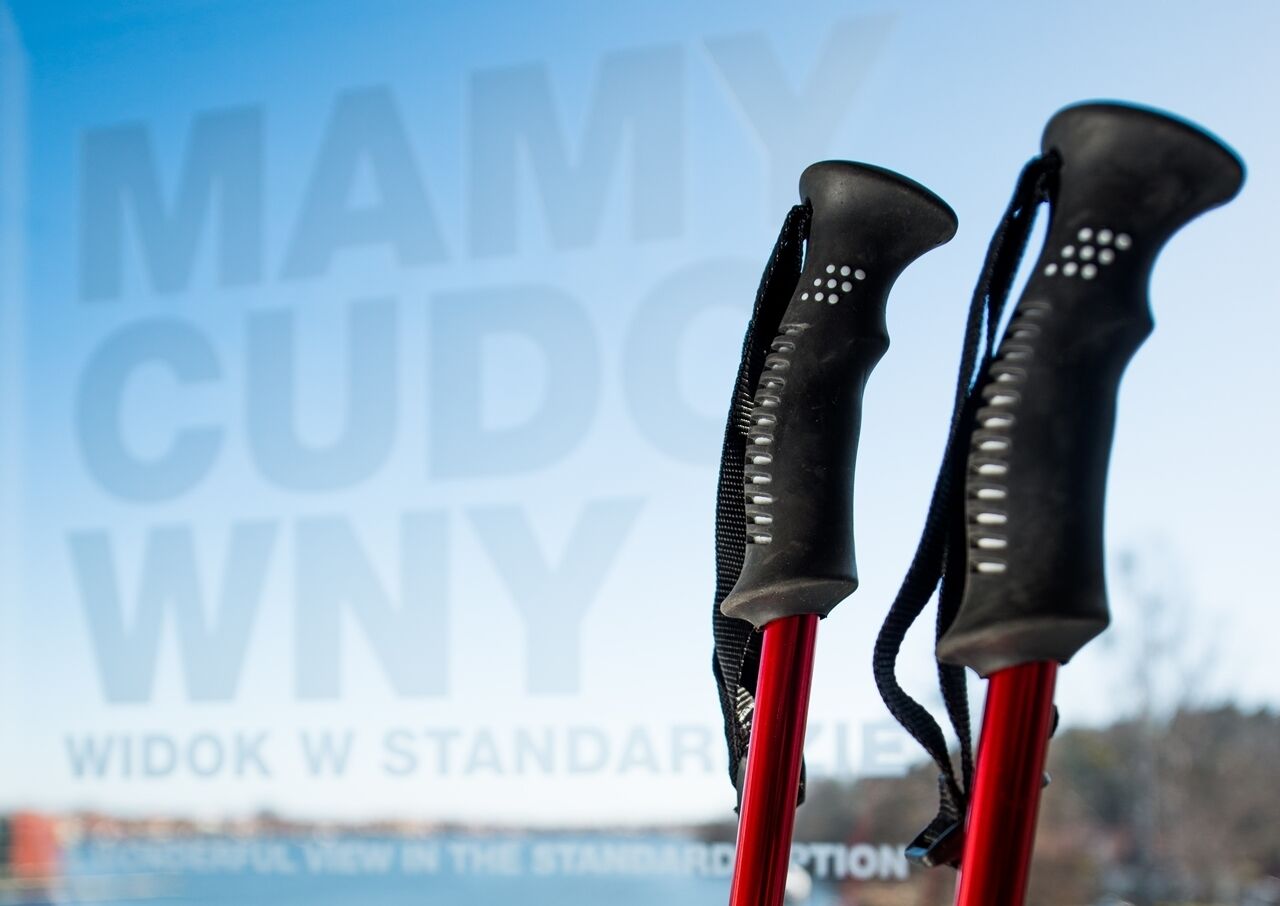 Two trekking poles with black grips and red shafts.