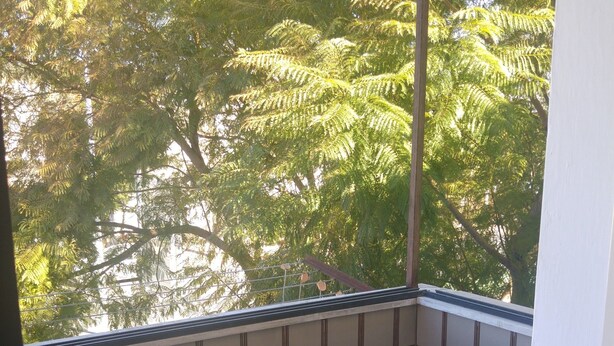 A balcony with a round table and two chairs, a tiled floor, and a view of trees. - Marom Ziv Center - Newe Shaanan (Haifa)