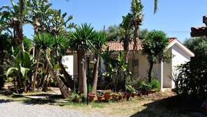 A building with a tiled roof, surrounded by various tropical plants and potted flowers. - C'era Una Volta (Ricadi)