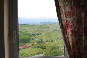 Hill view