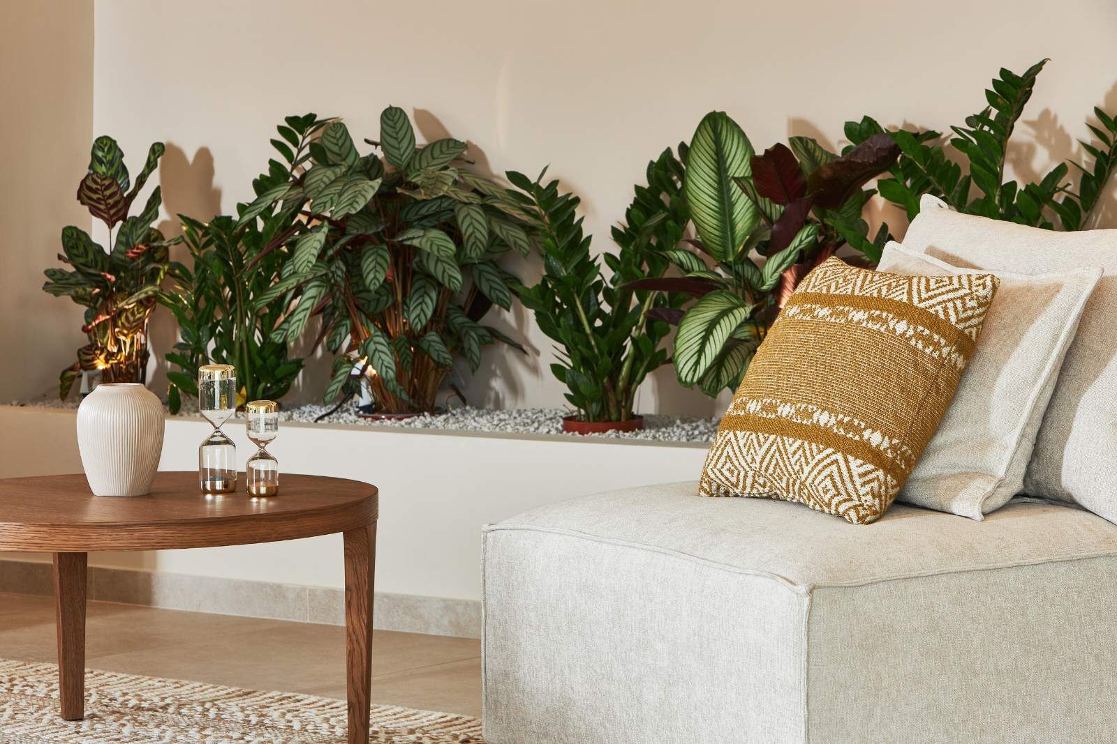 A living room with a sofa, decorative pillows, a coffee table, and a variety of indoor plants.