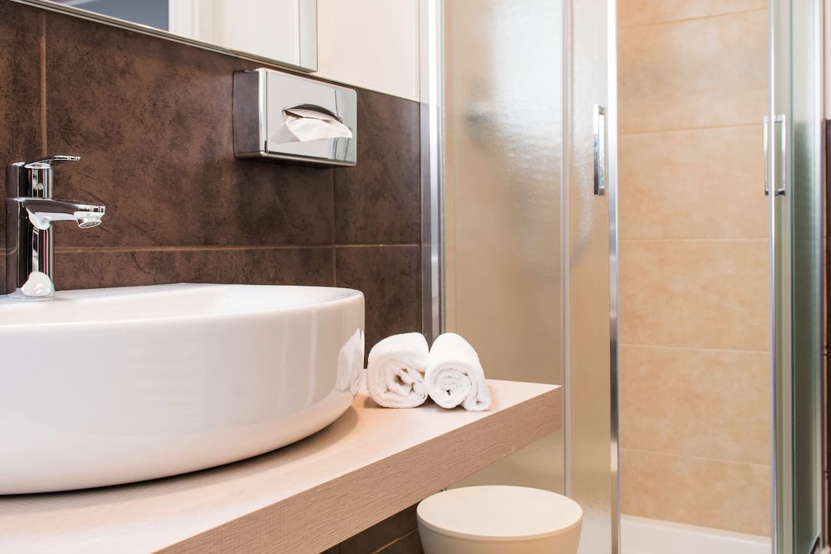 shower, free toiletries, hair dryer, bidet