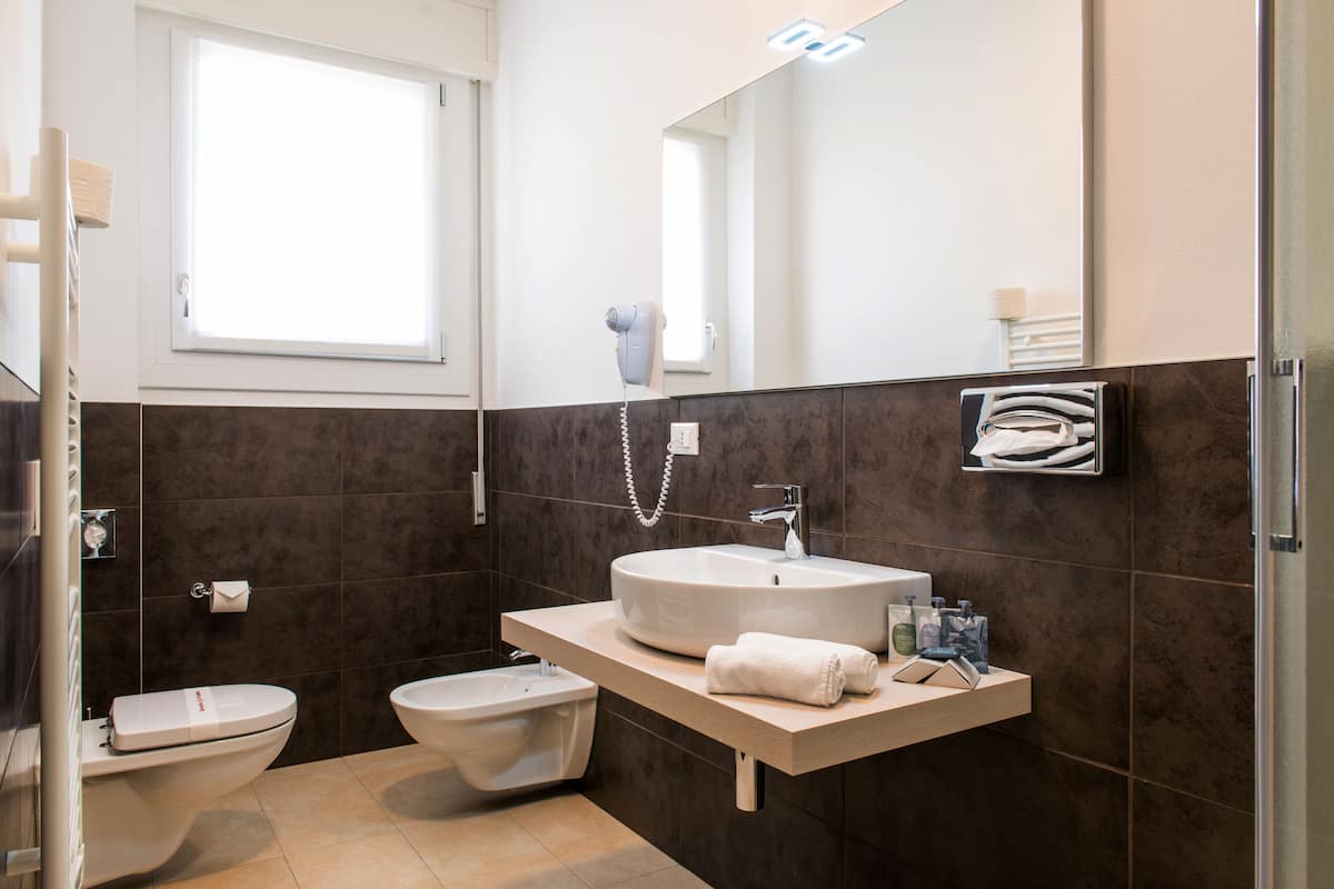 shower, free toiletries, hair dryer, bidet