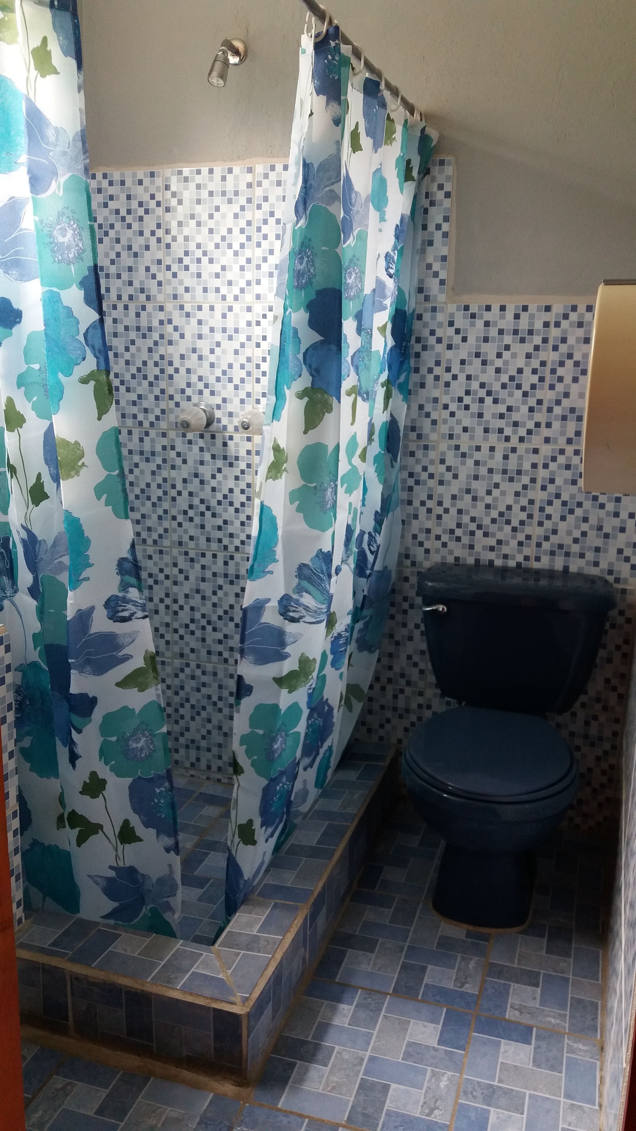 Un baño con cortina de ducha, paredes de azulejos y un inodoro.