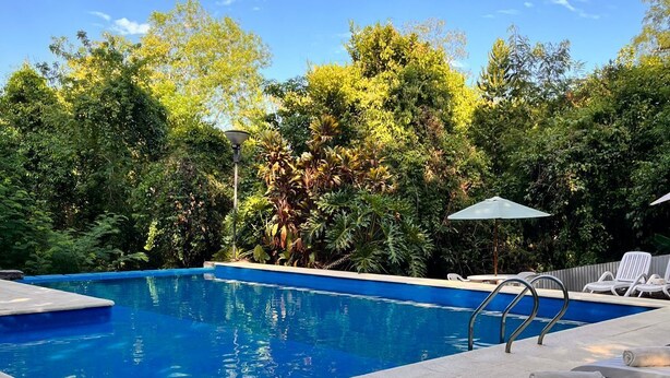 A swimming pool with lounge chairs and umbrellas, surrounded by lush greenery.