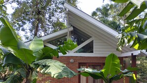 A house with a sloped roof, brick walls, and large green leaves in the foreground.