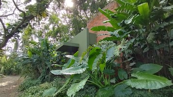Jardí